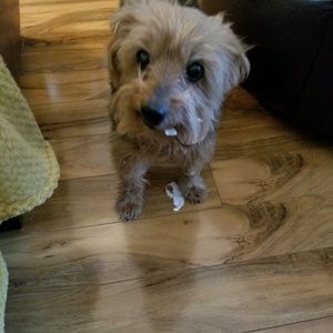 Meet your Posher, Kelly